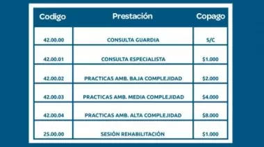 El Directorio de la Caja de Servicios Sociales resolvió actualizar copagos en CABA, Córdoba y Chubut
