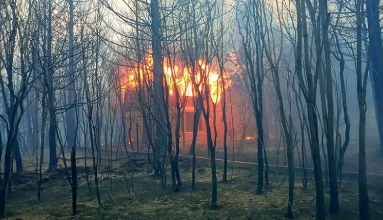 Comarca Andina: los focos de incendio son muy llamativos dijo un vecino de El Hoyo