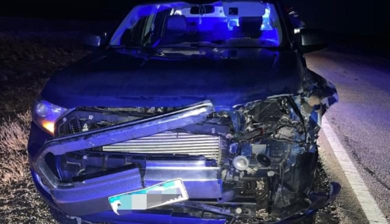 Accidente en Ruta 3: Ford Ranger colisionó con guanaco y terminó en la banquina