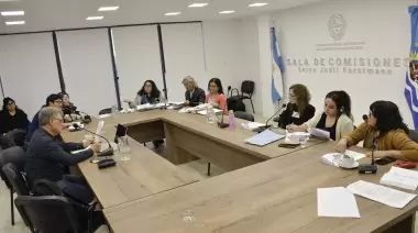 Acompañantes Terapéuticos esperan que se apruebe la Ley que regularice la actividad