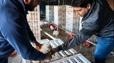 Claudio Vidal: "El Estado debe ayudar al productor, quitando trabas y facilitando la vida productiva de los que trabajan"