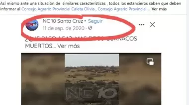 Desde la secretaría de Ambiente de MCO se desmiente la mortandad de guanacos