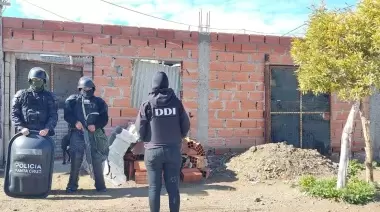 Allanan viviendas y encuentran elementos robados y una planta de marihuana