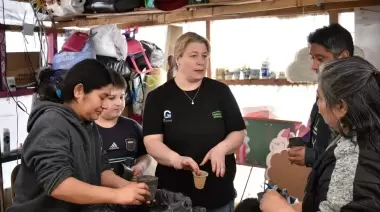 Forestación de plaza del Madres a la Lucha