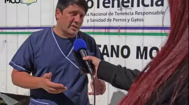 Subsecretaría de Gestión Ambiental: “Recomendaciones sobre pirotecnia y cuidado de mascotas”