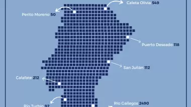 Distribución de discapacidades en la obra social santacruceña