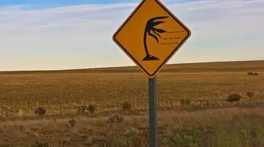 Alerta por fuertes vientos en la zona norte de Santa Cruz