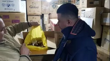 Hallaron 850 kilos de medicamentos vencidos