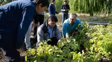 Se aprobó el proyecto que permite crear la Empresa Provincial de Alimentos