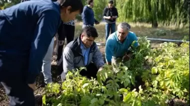Empresa de alimentos: el gobierno conformará el directorio mediante un concurso público