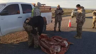 Operativo de control: incautan un animal faenado y detienen a un hombre