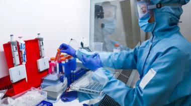 Alerta: desaparecen 323 muestras de virus letales en laboratorio de Queensland, Australia