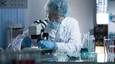 Argentina lidera la biotecnología equina: nacen los primeros caballos genéticamente editados del mundo