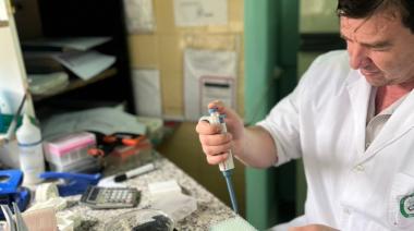 Sanidad animal en Santa Cruz: el laboratorio clave para el sector ganadero
