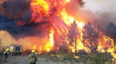El Gobierno propone prisión efectiva para quienes inicien incendios forestales