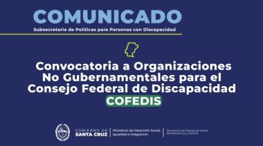 Santa Cruz convoca a ONG para integrar el Consejo Federal de Discapacidad