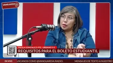 Boleto Estudiantil 2025: Inicia el trámite para niveles terciario y superior en Santa Cruz