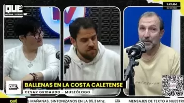 Caleta Olivia apuesta al avistaje de ballenas sei para impulsar su turismo