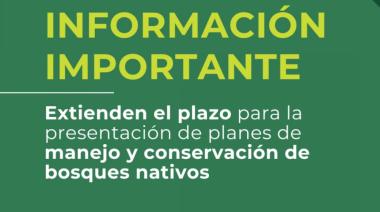 Bosques nativos en Santa Cruz: nueva fecha límite para presentar planes de conservación y uso sostenible