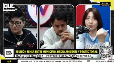 Tras reunión frustrada por la problemática canina: Protectoras exigen acción concreta y responsabilidad municipal