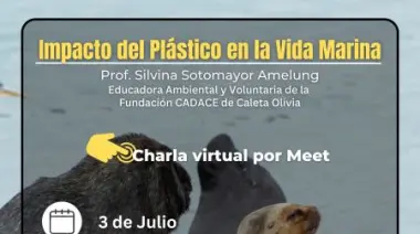 Ambiente y CADACE conmemoran el Día Libre de Bolsas de Plástico con charla virtual sobre el impacto en la vida marina