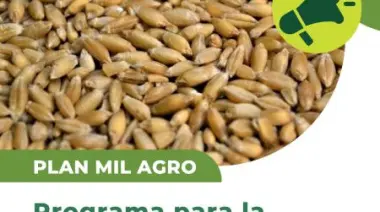 Lanzan el Plan MIL AGRO para impulsar la producción forrajera en Santa Cruz