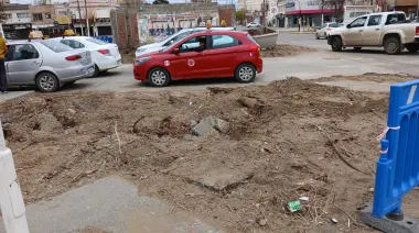 Arrancaron árboles históricos en pleno centro y concejal hará denuncia por "ecocidio"