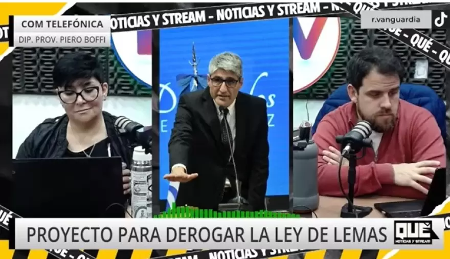Boffi: "Vamos a avanzar para la derogación de la maldita Ley de Lemas"