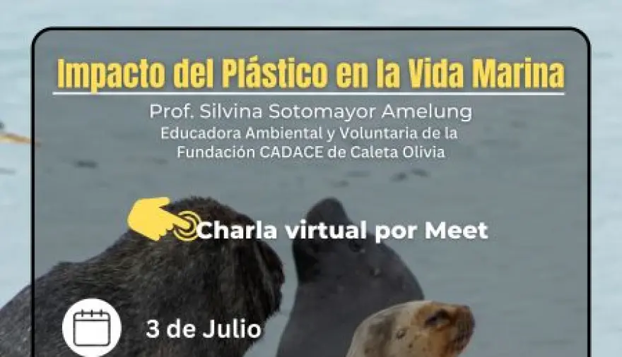 Ambiente y CADACE conmemoran el Día Libre de Bolsas de Plástico con charla virtual sobre el impacto en la vida marina
