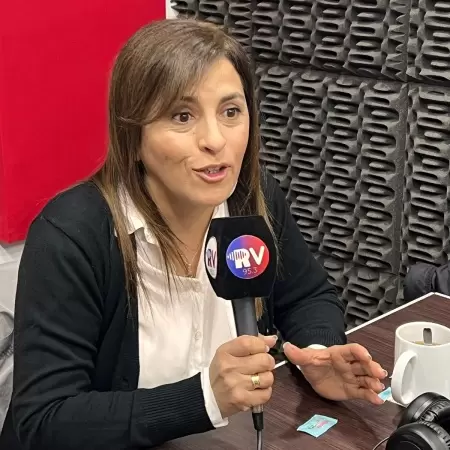 "No hay libros matrices ni documentación en carreras del INSET", reveló Iris Rasgido