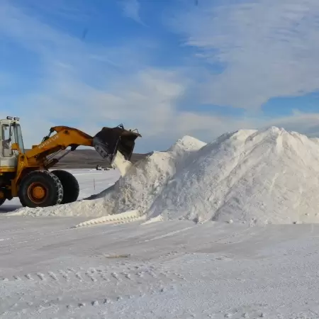 Planificación Plan Invernal 2025: Cosecha, acopio y distribución de sal para Santa Cruz