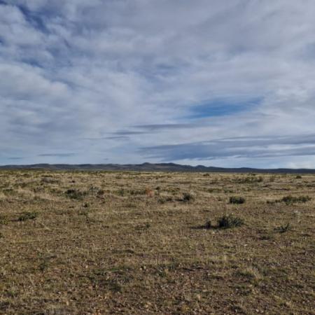 Caleta Olivia inicia el megaproyecto de 4500 lotes con servicios y planificación integral