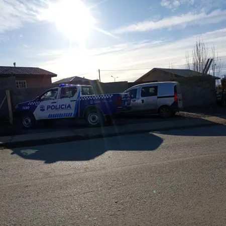 Crueldad en El Calafate: investigan la muerte de tres perros hallados con sogas y signos de disparos